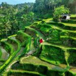 Bali, one of the best tropical destinations - Luxury EScapes