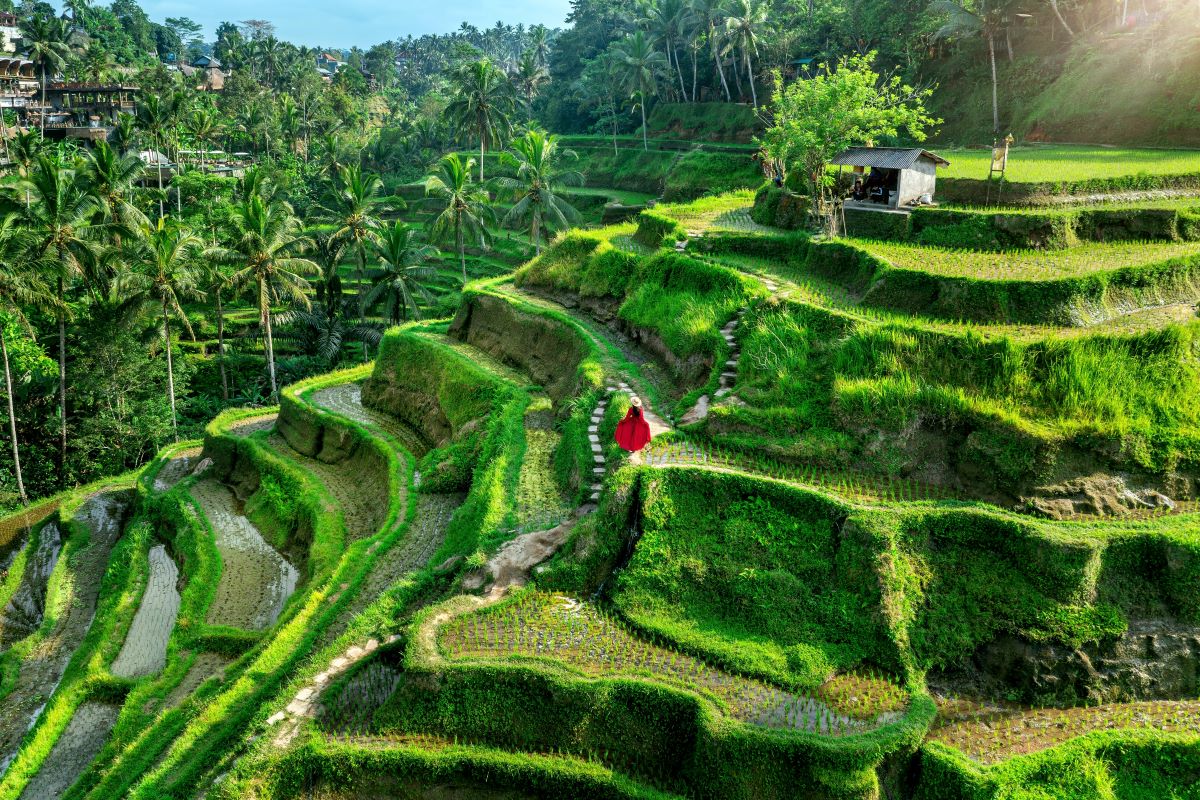 Bali, one of the best tropical destinations - Luxury EScapes