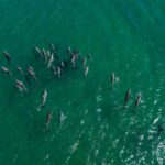 Bunbury, one of the best places on a Western Australia road trip - Luxury Escapes