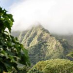 Kaneohe, Oahu, one of the ways to experience Hawaiʻi beyond Waikīkī - Luxury Escapes