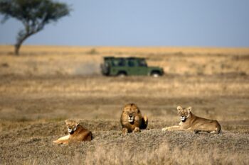 What To Expect On Your Africa Tour