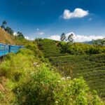 The view from a train in Sri Lanka - Luxury Escapes