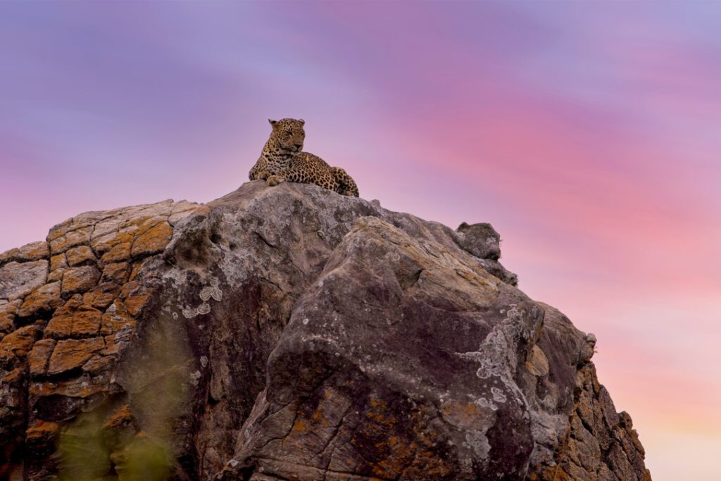 The 12 Best Things to Do in Sri Lanka’s South