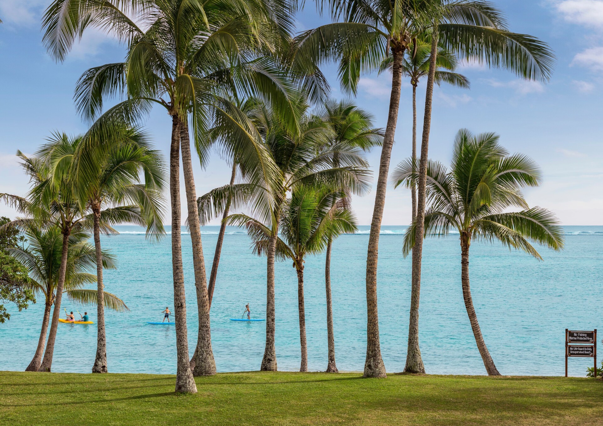 Palm trees with family of kayakers and paddle-boarders in the background in Fiji - Luxury Escapes