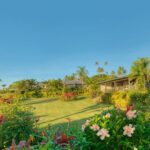 Taveuni Island Resort, Fiji, one of the best Fiji holiday escapes - Luxury Escapes