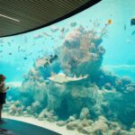 The viewing room at Daydream Island Escape, with children admiring the sea life - Luxury Escapes