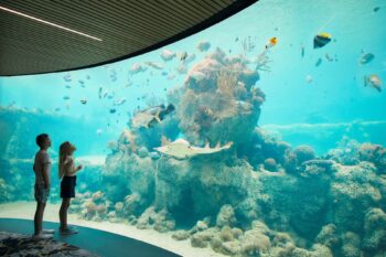Why This Island Resort is the Family-Friendly Gateway to the Great Barrier Reef