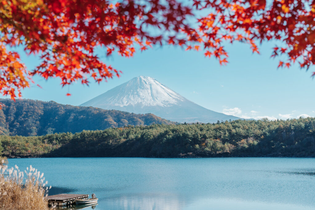 Mount Fuji view at Lake Saiko in Autumn season.