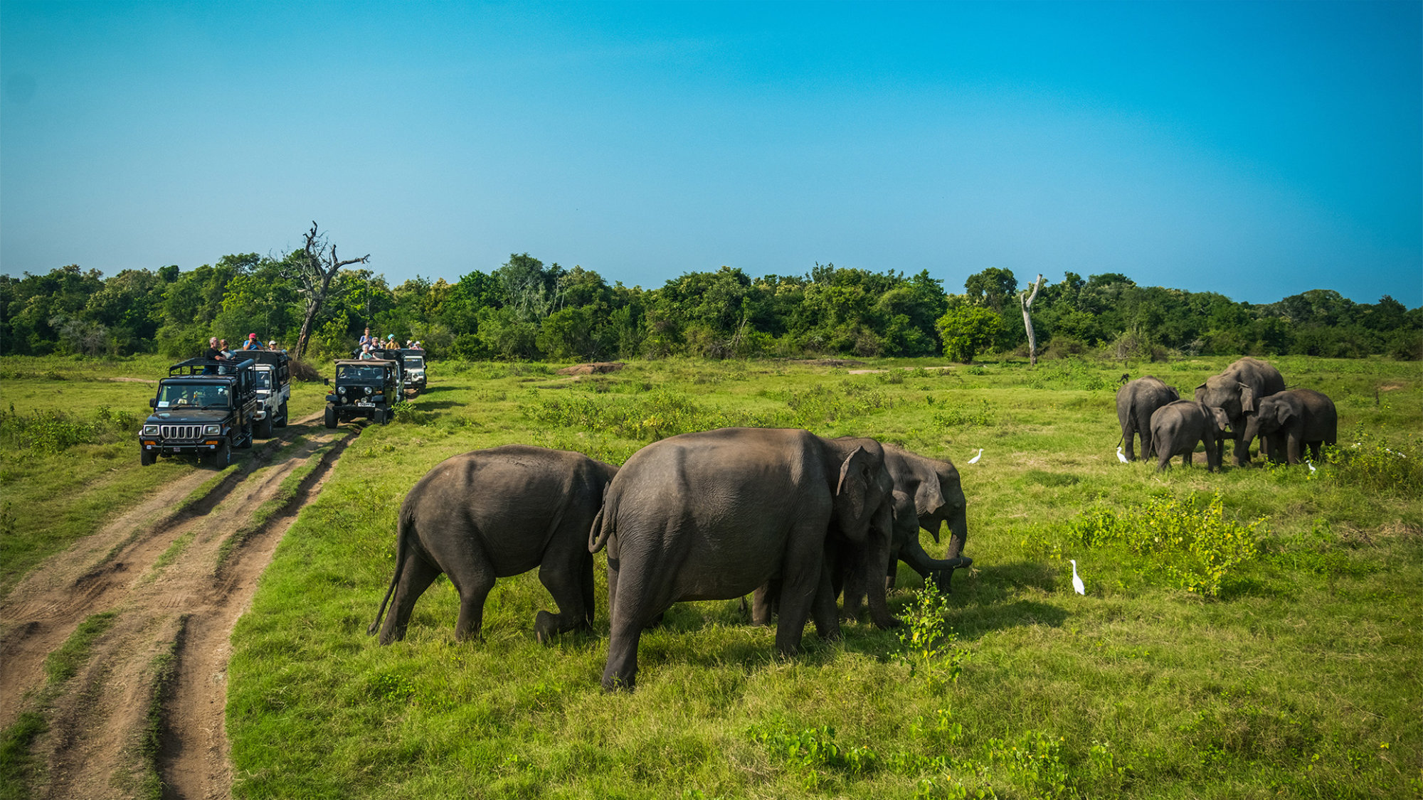Luxury Escapes Tours Asia Sri Lanka