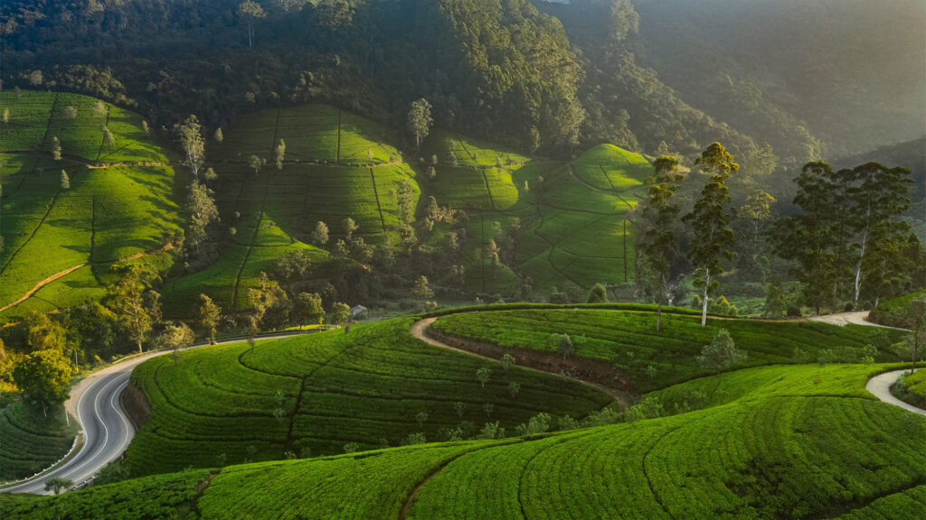 Luxury Escapes Tours Asia Sri Lanka