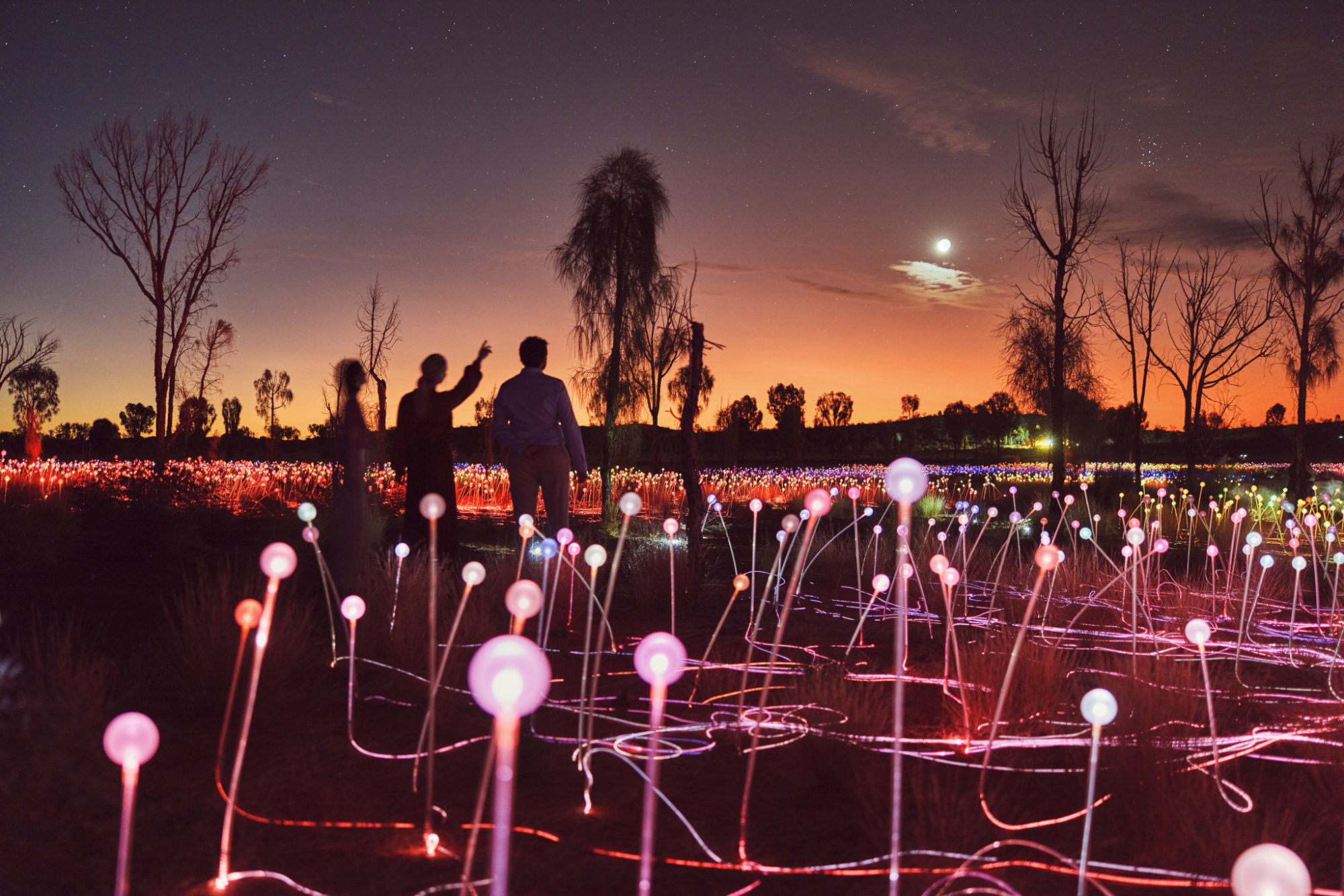 Spektakuläre Field of Light Die Field of Light-Installation ist eines der vielen Must-See-Uluru-Erlebnisse.