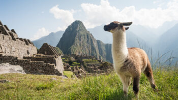 Americas Tours