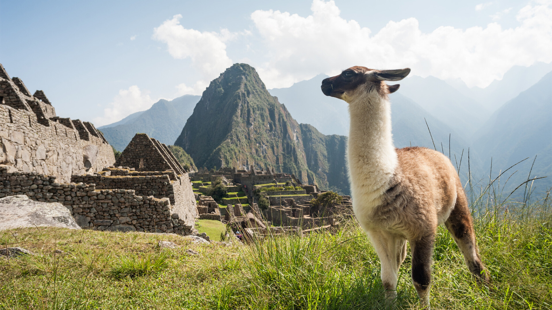 Americas Tours