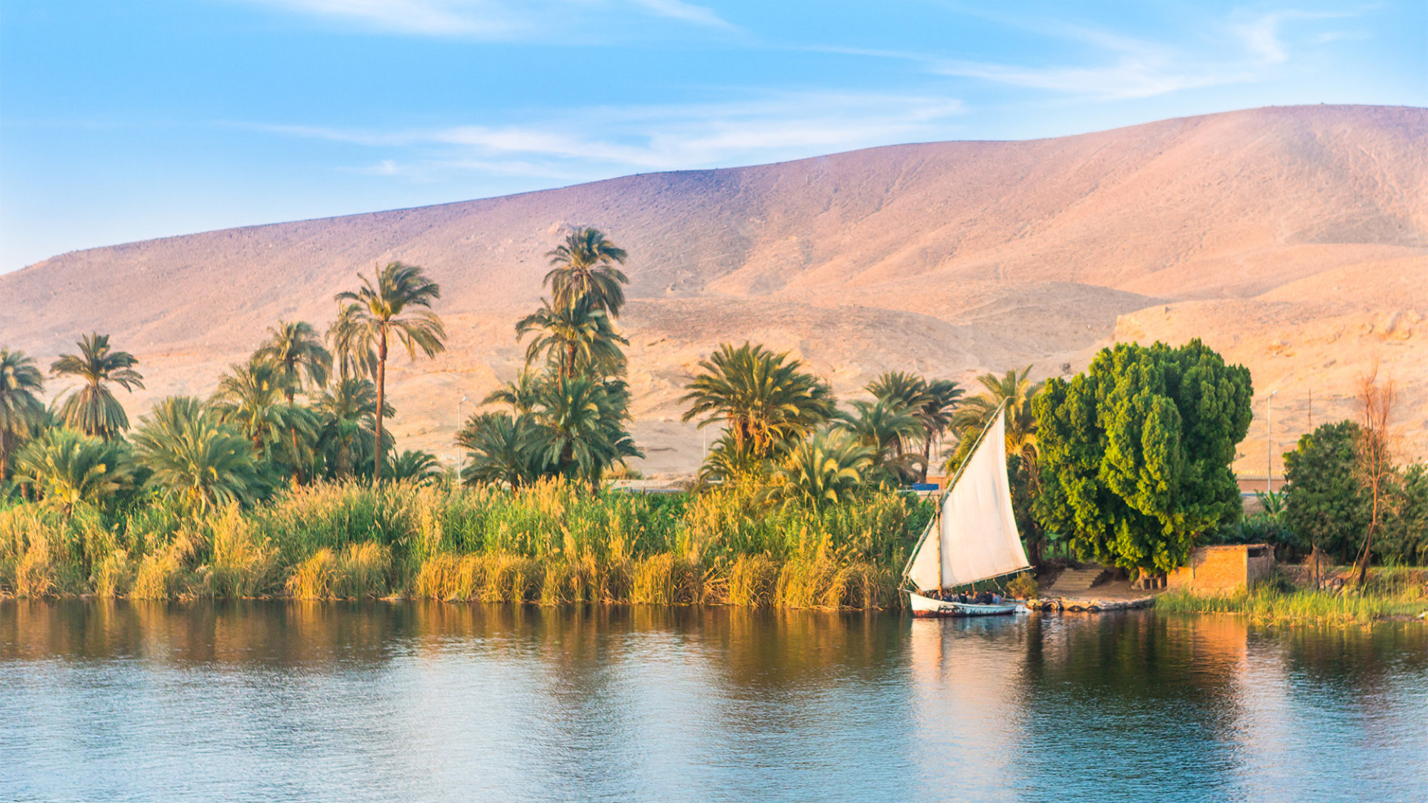 Middle East Tours