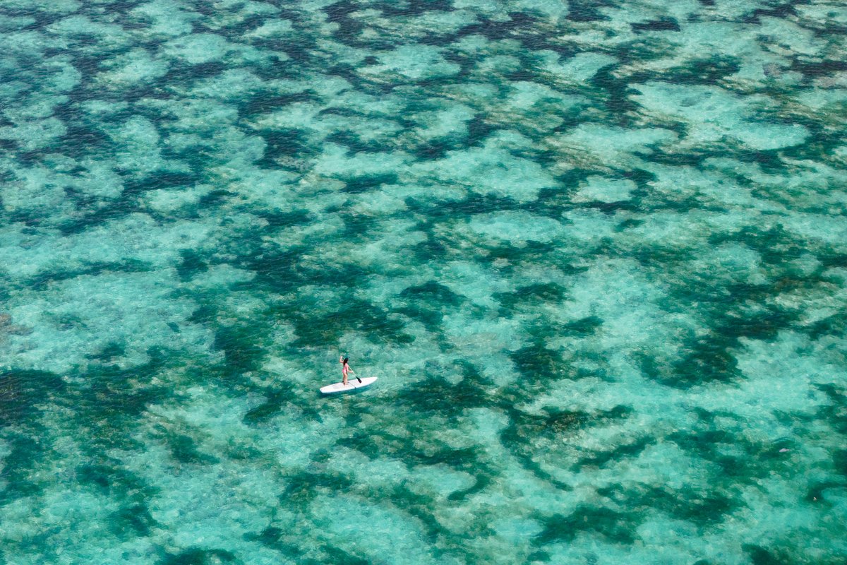Person paddle boarding through the secluded water at Samabe Bali Suites & Villas. Luxury Escapes.