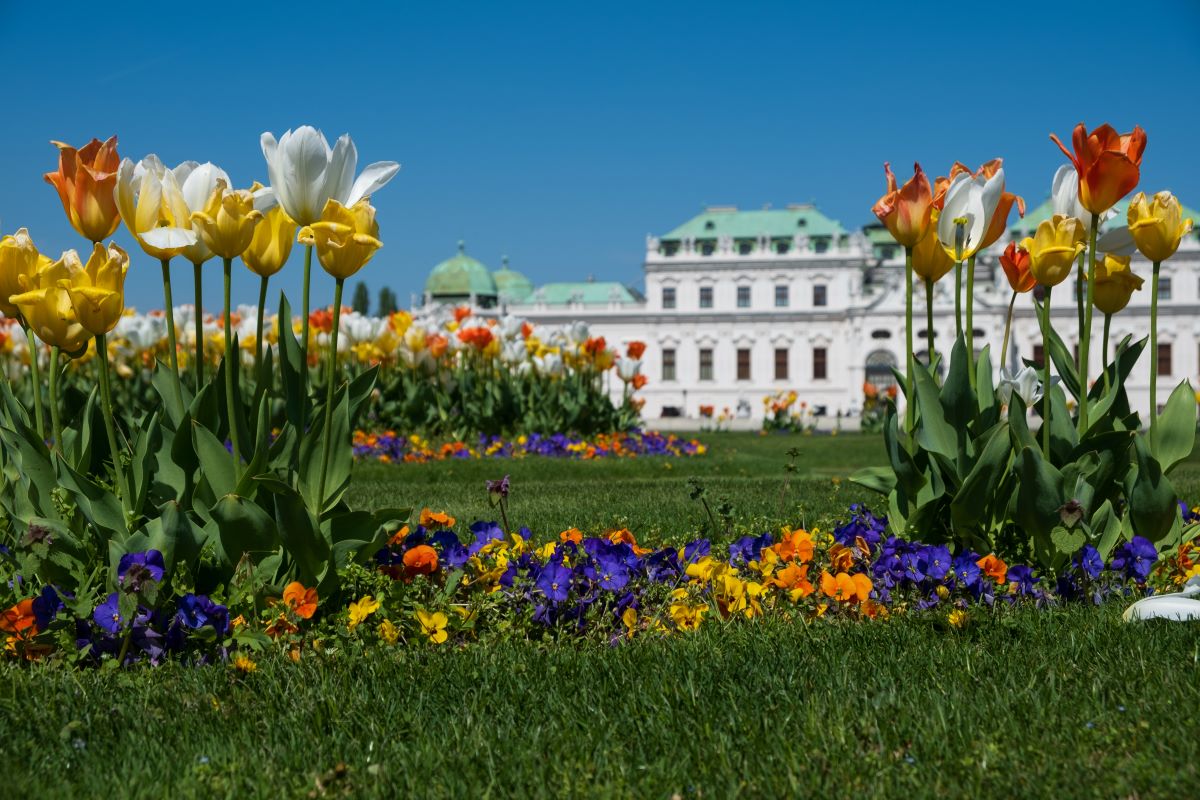 Belvedere Palace, one of the best things to do in Vienna in spring - Luxury Escapes