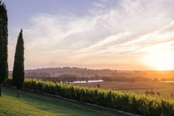 The South Coast Winery Stay With the Vineyard at Your Door