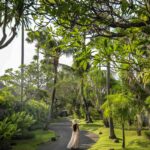 Tropical gardens at Peppers Seminyak