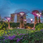 Gardens by the Bay and Marina Bay Sands, Singapore