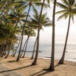 Palm-lined tropical beach and calm sea seaside destination