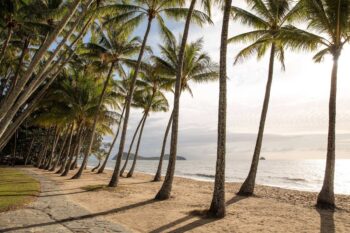 Cairns, Port Douglas & Palm Cove: Where to Stay in Tropical North Queensland