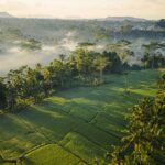 The view at Ubud Mas Glamping