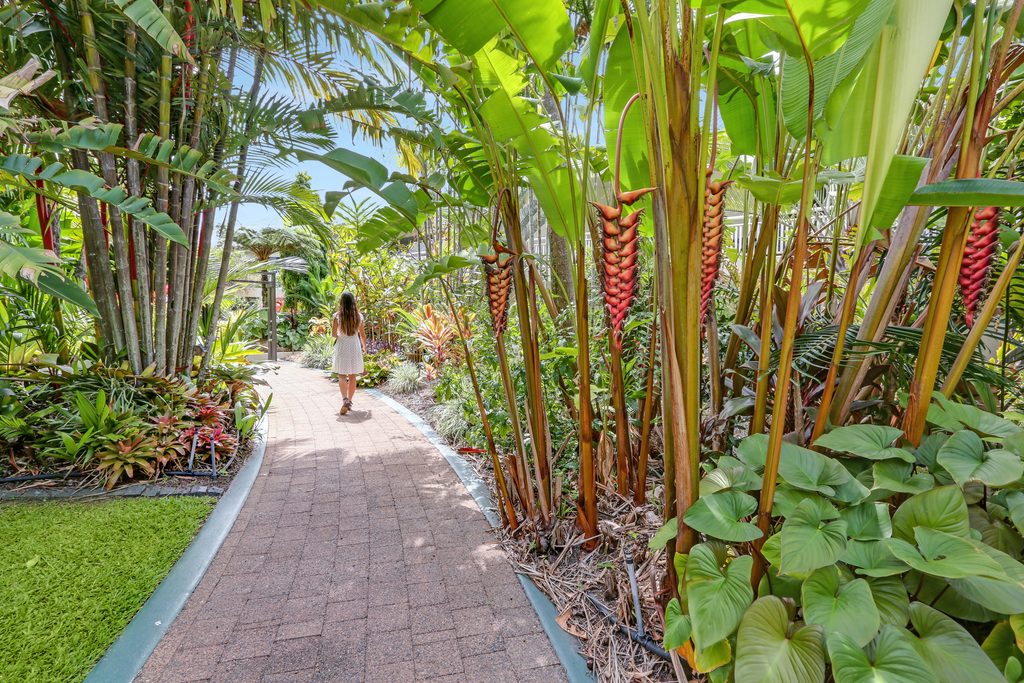 Guest walking through the tropical garden at Shangri-La The Marina, Cairns