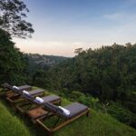 The view from loungers at Alila Ubud - Luxury Escapes