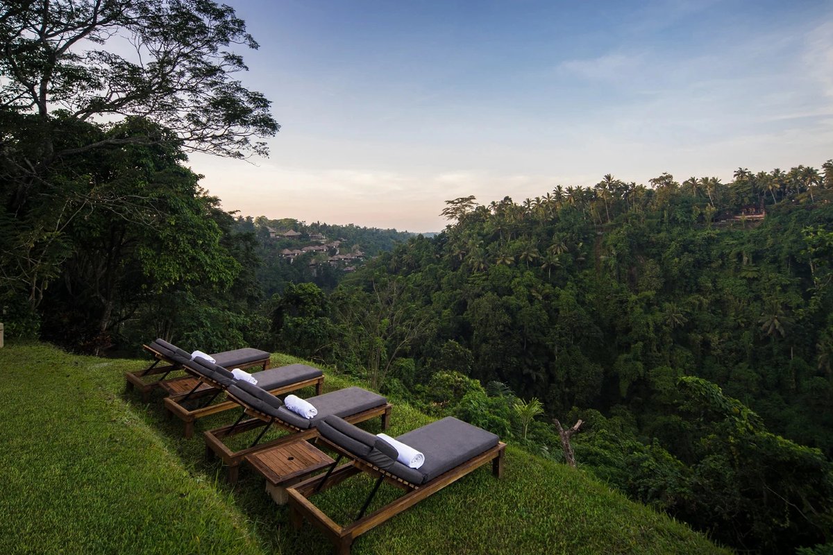 The view from loungers at Alila Ubud - Luxury Escapes