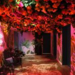 Blossom rooftop bar interior in Melbourne