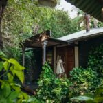 Secluded Misty View Cottages cabin framed by lush forest